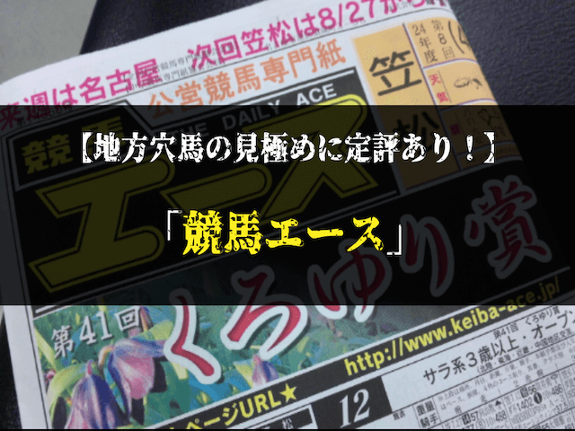 よく当たる競馬新聞ランキング穴馬　3位競馬エース