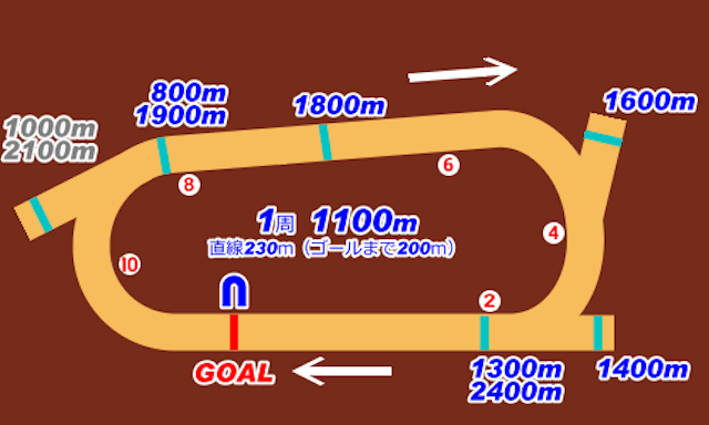 高知競馬コース特徴