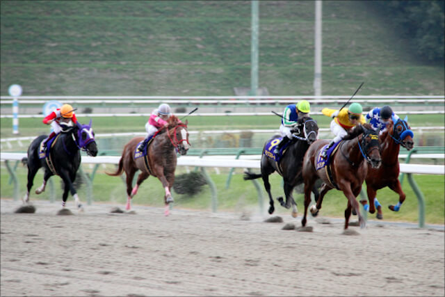 高知競馬特徴