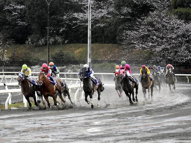 高知競馬特徴