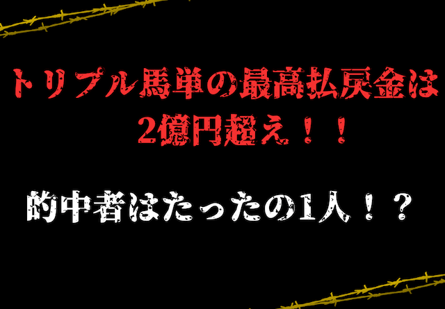 トリプル馬単最高払戻金