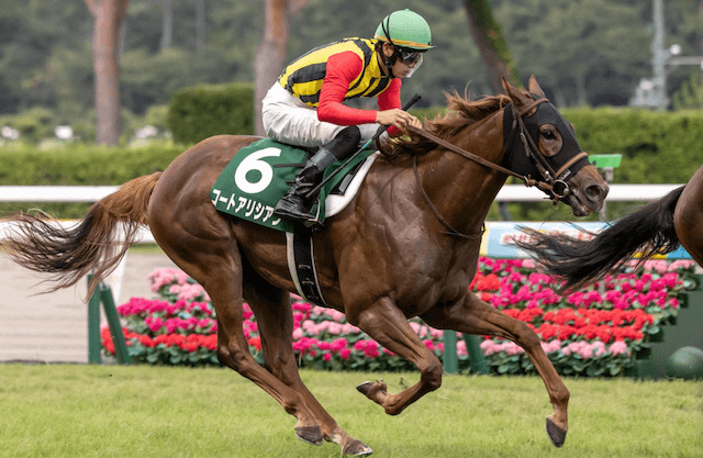 【ニュージーランドトロフィー2025】AI予想が最も多く選んだ本命馬:コートアリシアン