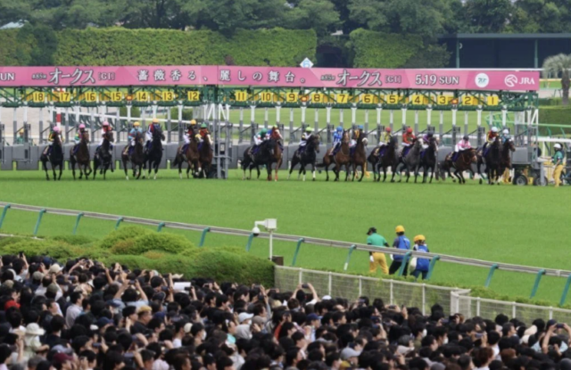 オークス(優駿牝馬)スタンド前画像