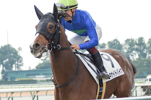 【ラジオNIKKEI賞】競馬戦線AIの穴馬：アウスヴァール