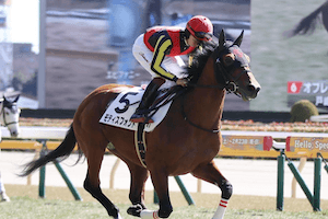 【ラジオNIKKEI賞】競馬戦線AIの本命馬：モティスフォント