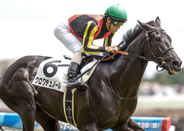 新馬戦　デビュー馬