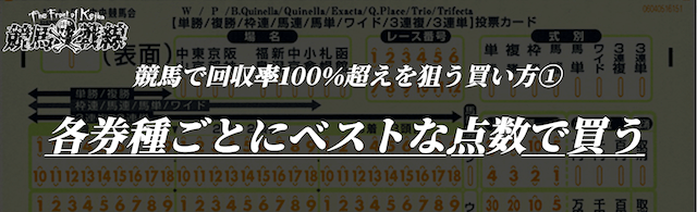 競馬で回収率100%超えを狙える買い方①各券種ごとにベストな点数で買う