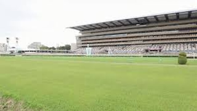 競馬_単勝のみ_会場を絞る
