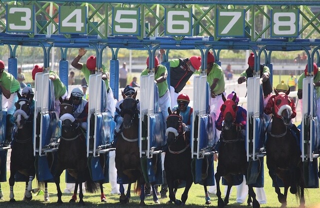 競馬投資_レースを厳選