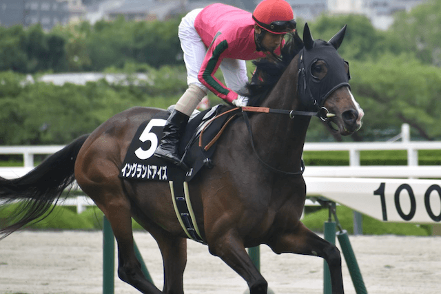 【小倉記念2025】AIが導いた穴馬イングランドアイズ