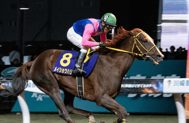 帝王賞2025有力馬：メイショウハリオ