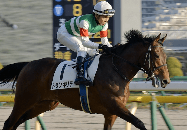 【関屋記念2025】AI予想が導き出した穴馬：トランキリテ