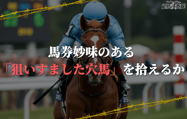 馬券妙味のある「狙いすました穴馬」を拾えるか