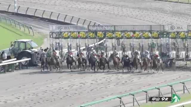 2024年04月01日_中山9R_レース映像1