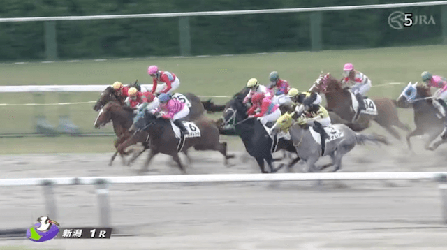 20240519.新潟1Rうまれぼの有料予想レース映像1