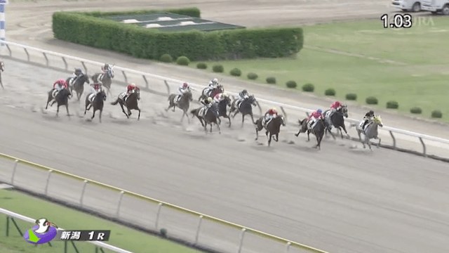 20240519.新潟1Rうまれぼの有料予想レース映像4