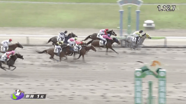 20240519.新潟1Rうまれぼの有料予想レース映像5
