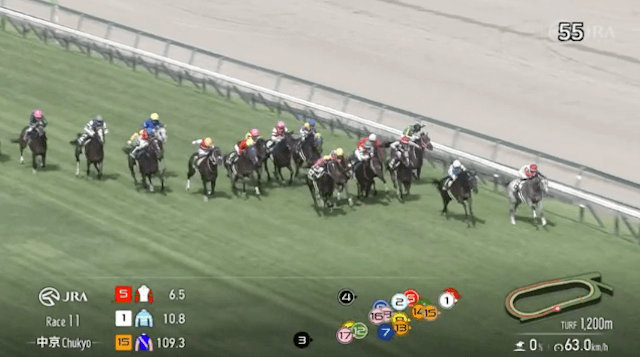 2024年08月18日_中京11R_レース映像3
