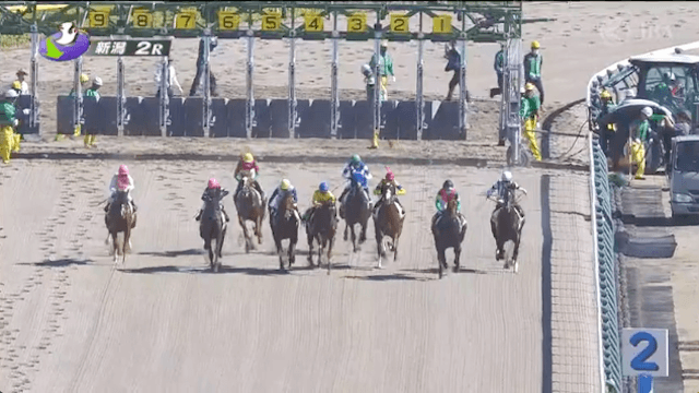 2024年10月12日_新潟2R_レース映像_1