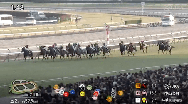 20250105.中山11Rレース映像4