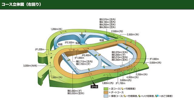 スプリンターズS　中山競馬場の特徴