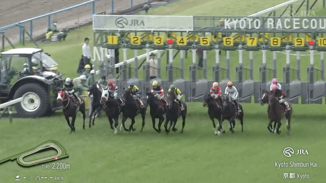 2025年5月10日の京都11Rレーススタート