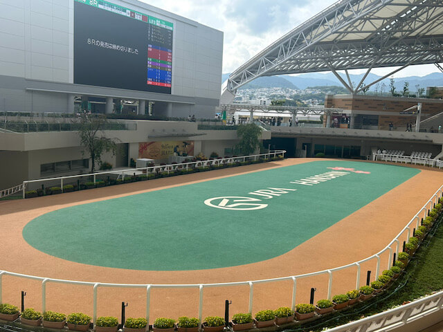 競馬勉強すれば勝てる