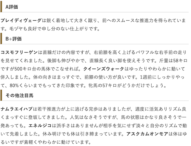 ひたすら調教診断するだけのブログ_詳細