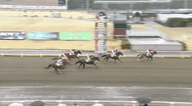 川崎7R結果