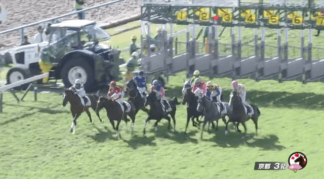 2024年11月3日京都3R2歳未勝利レーススタート