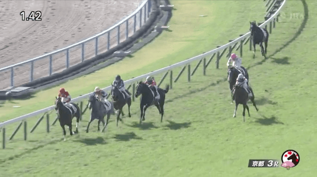 2024年11月3日京都3R2歳未勝利最終コーナ