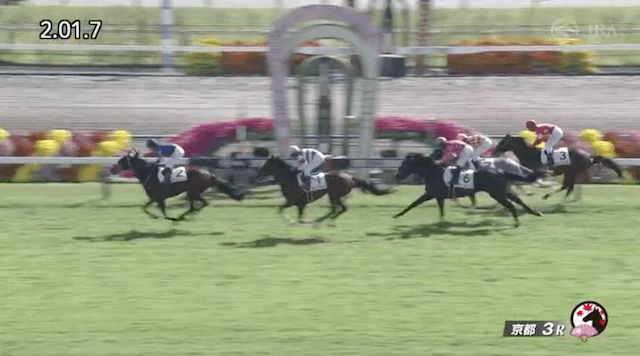 2024年11月3日京都3R2歳未勝利ゴール