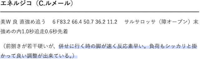 リーファの追い切り診断_詳細