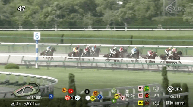 2025年6月21日阪神競馬11Rレース映像②