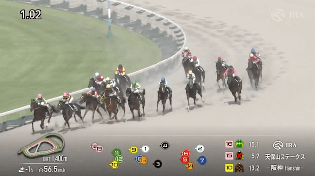 2025年6月21日阪神競馬11Rレース映像③