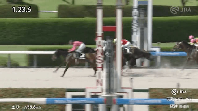 2025年6月21日阪神競馬11Rレース映像⑤