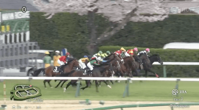 天才穴馬党_2025年4月6日中山9Rレーススタート