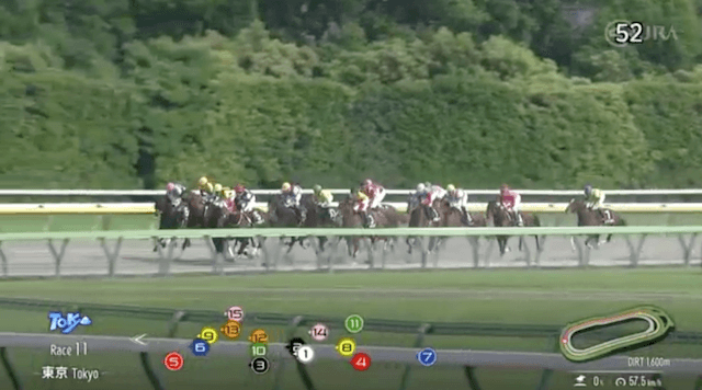 東京11R第3コーナー