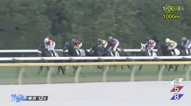 東京12R3コーナー