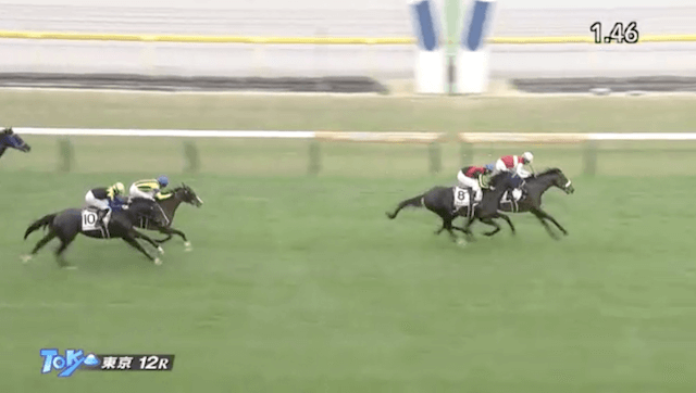 東京12R結果