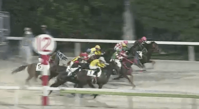 2024年9月29日大井競馬3Rスタート