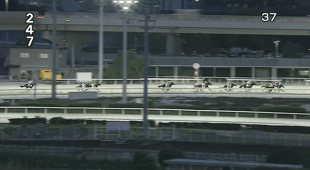 2024年9月29日大井競馬3R3コーナー
