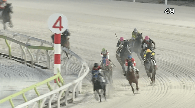 2024年9月29日大井競馬3R最終コーナー