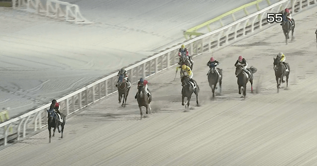 2024年9月29日大井競馬3R直線