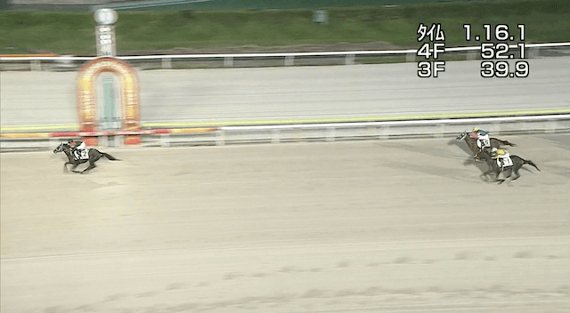 2024年9月29日大井競馬3Rゴール