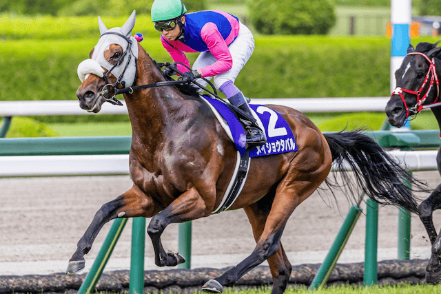 メイショウタバル