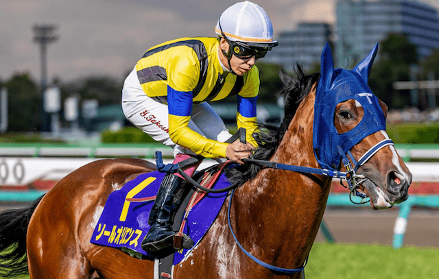 ソールオリエンス