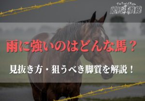 雨に強い馬