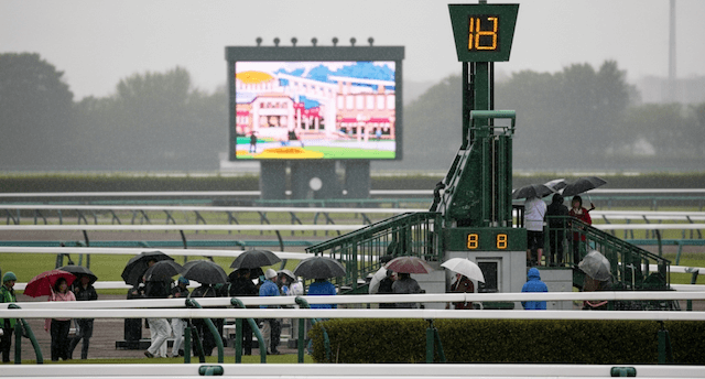 雨の競馬場
