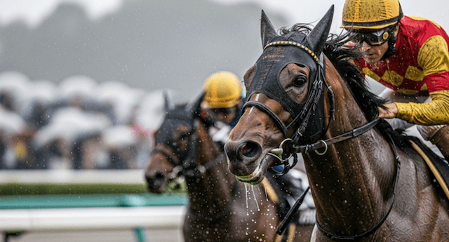 実例から学ぶ重馬場に強い血統の好走シーン
